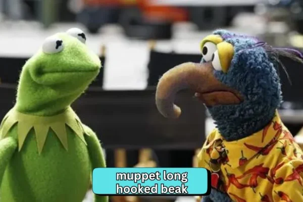 Muppet Long Hooked Beak | Unveiling Its Unique Charm