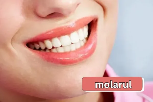 Molarul Mastery | Top Tips for Healthy Teeth